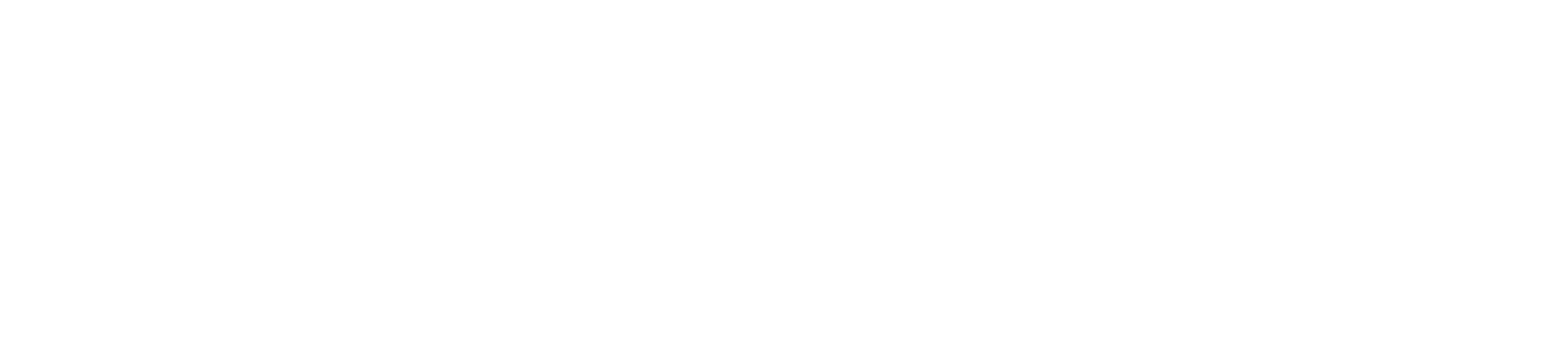 Logo BPS Buton Selatan